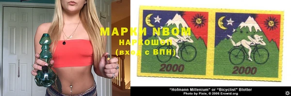 прущие грибы Алзамай