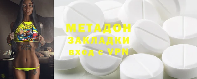 прущие грибы Алзамай