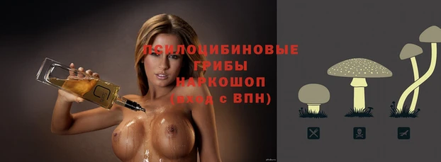 прущие грибы Алзамай