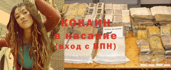 соль ск Алексин