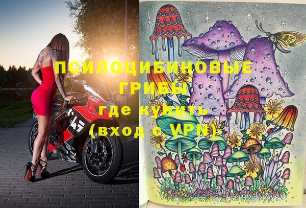 прущие грибы Алзамай
