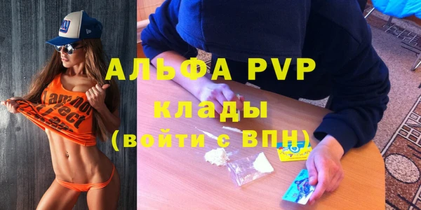 соль ск Алексин